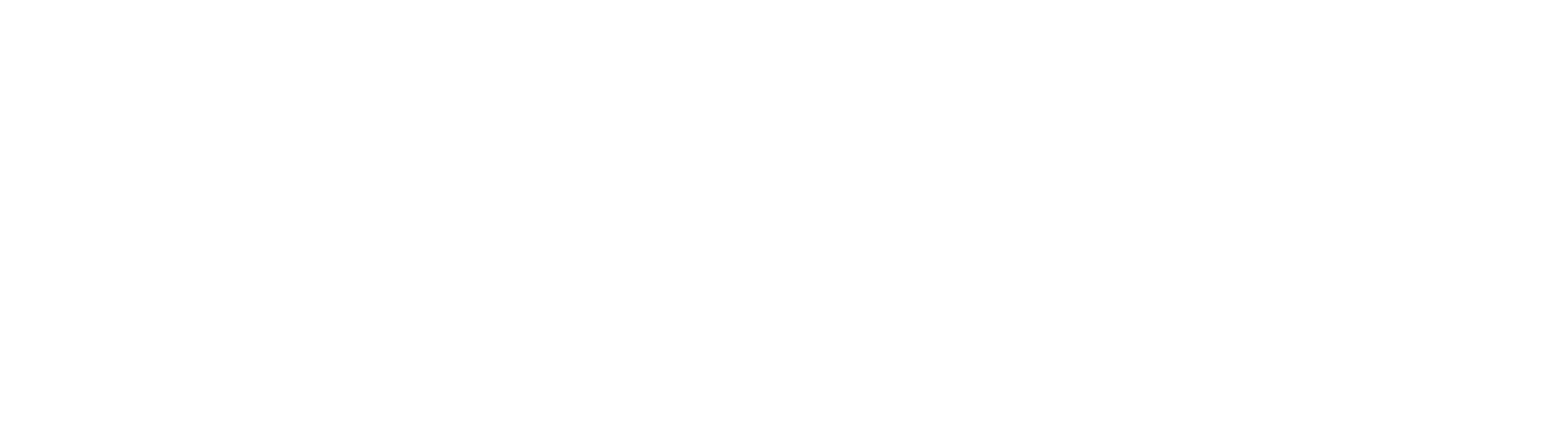 Fan Duel Predicts Logo Transparent white