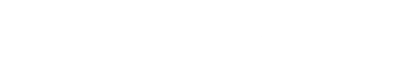 Fan Duel Markets Logo