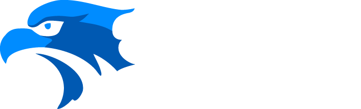 Sportsbooksonline logo new white